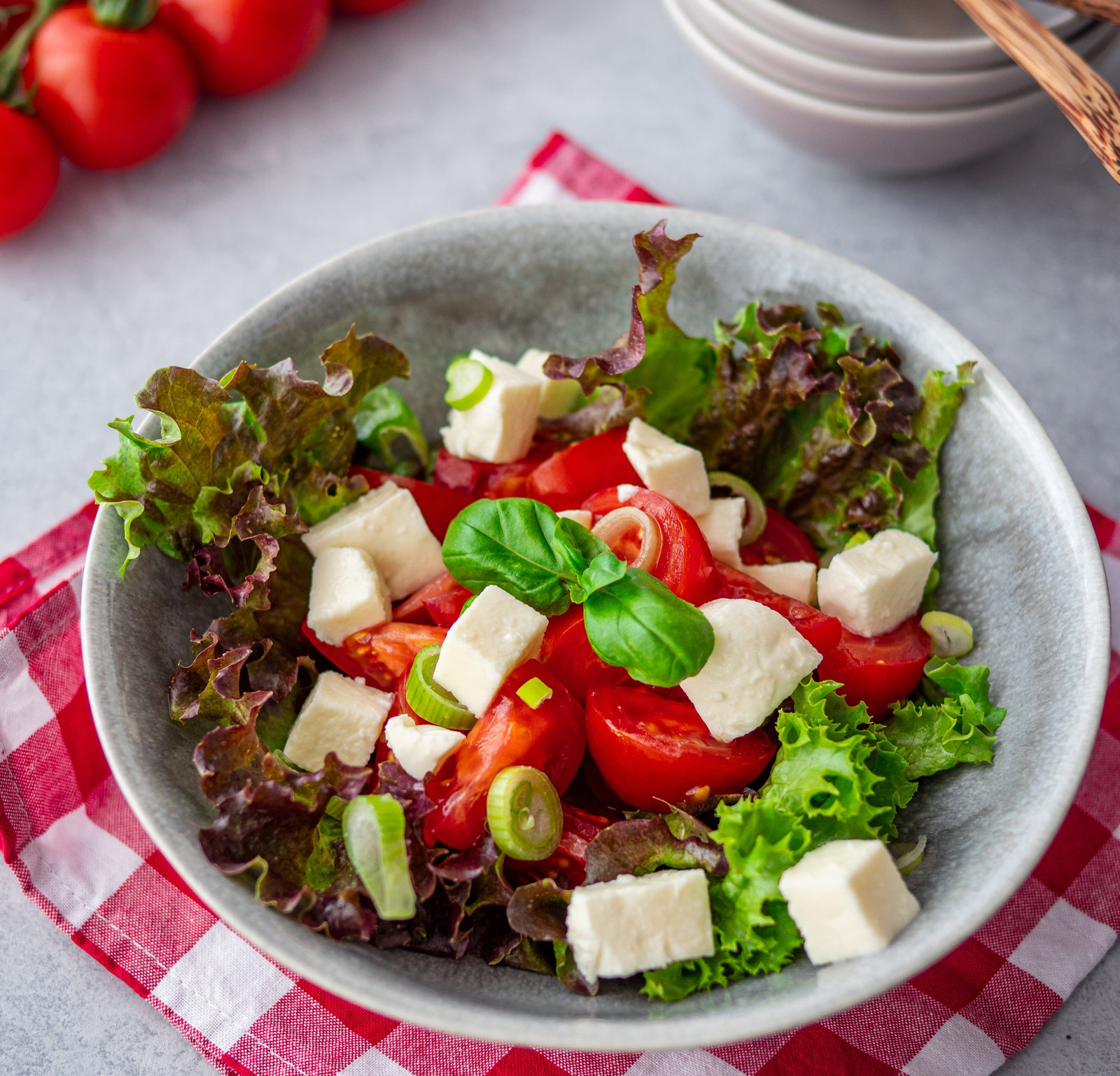 Tomatensalat mit Mozzarella und Basilikum in einer Schüssel
