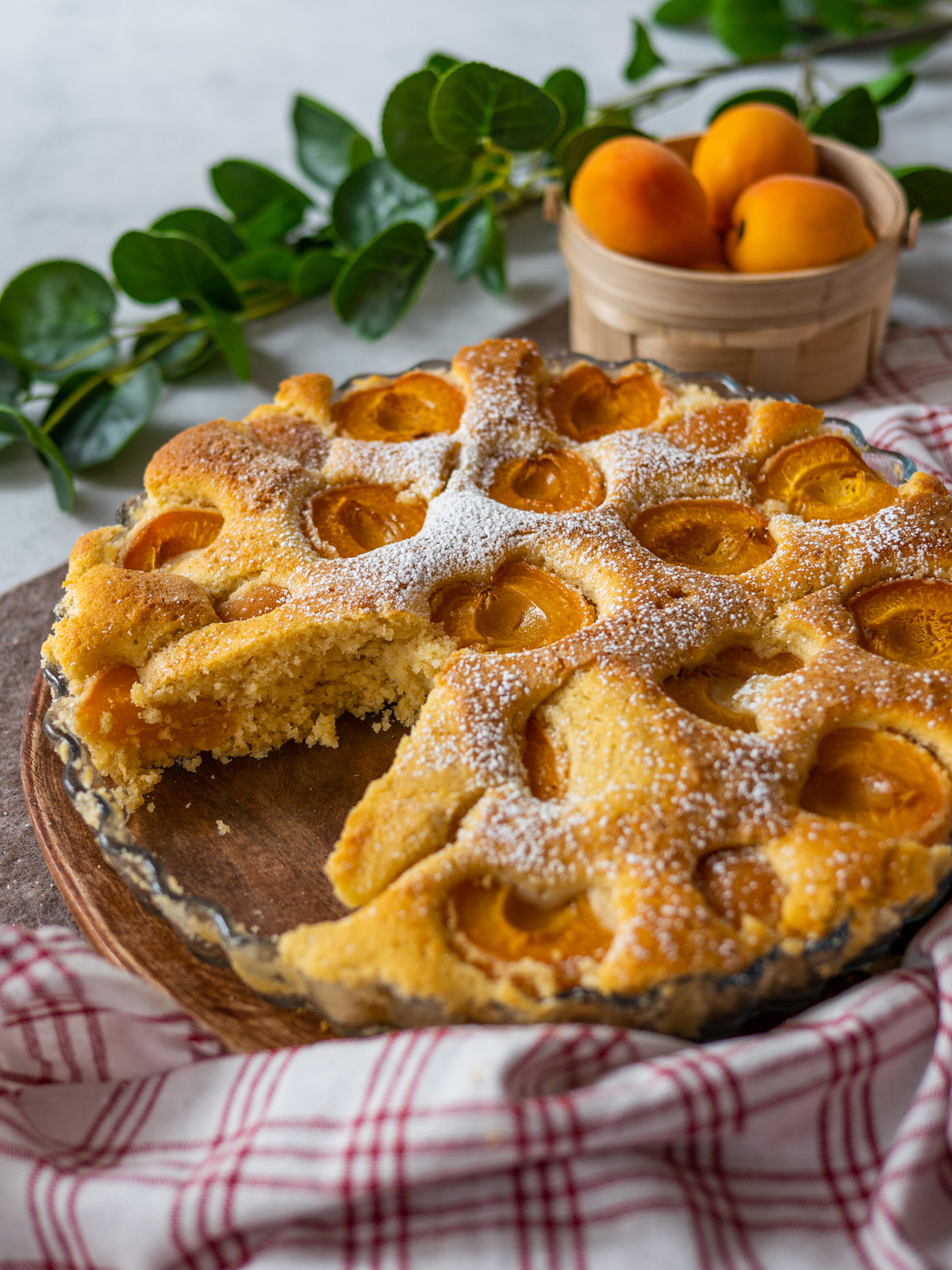 Ein Stück schneller Marillenkuchen mit Puderzucker bestreut